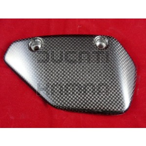 Carbon Schwingenschutz unten Multistrada 1000/1100