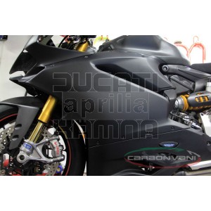 Carbon Verkleidung STRAßE für 1199R/1299 Panigale Modell 2015