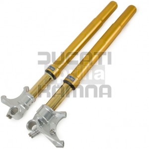 Öhlins Gabel FG43 (FGRT200) für Ducati 1199 Panigale/1198/1098 