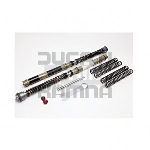 Cartridge Kit 20DDS K-Tech für 1098/1198 S/R/SP Bj. 07-11