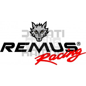 Remus Auspuffanlagen für Ducati