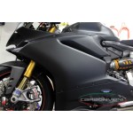 Carbon Verkleidung STRAßE für 1199R/1299 Panigale Modell 2015