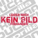 Alu Kettenrad - SS Monster 851 888 etc.