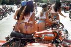 all over bevel ducatis ,everywhere you see!!!!